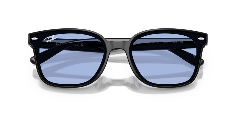 Ray-Ban RB4461D outlook