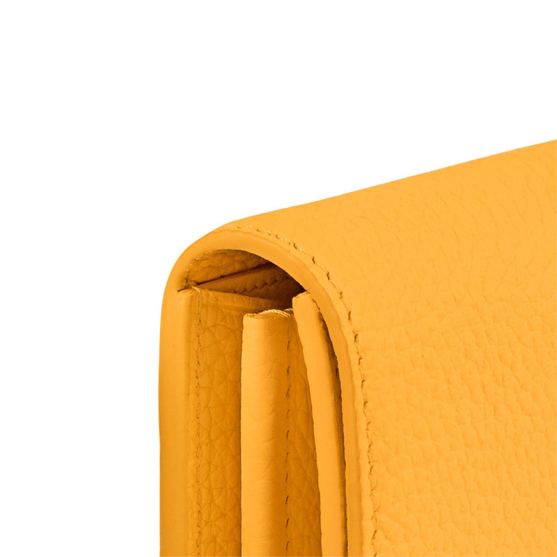 Louis Vuitton Capucines Wallet outlook