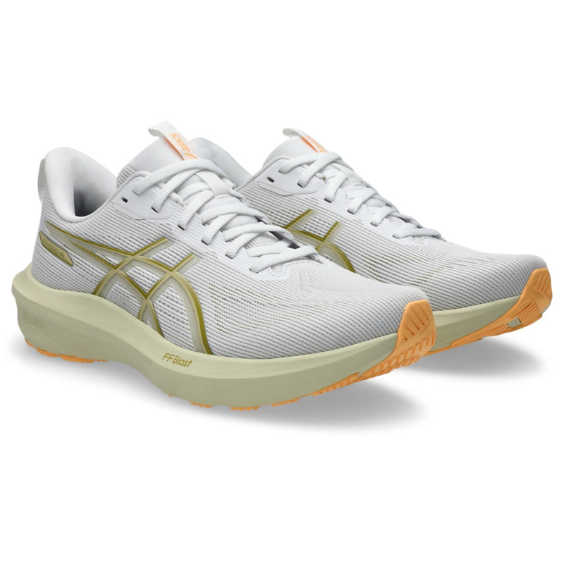 Asics GT-1000 14 outlook