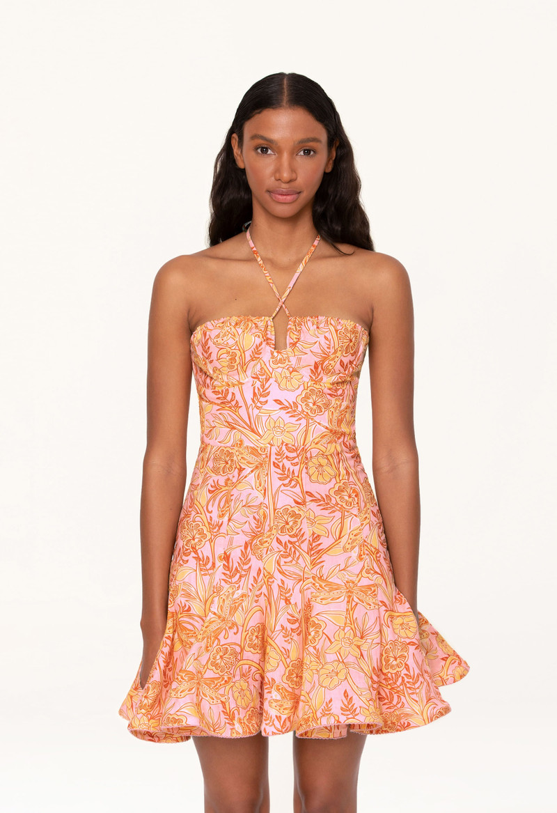Anturio Vuelo Atardecer Mini Dress 5