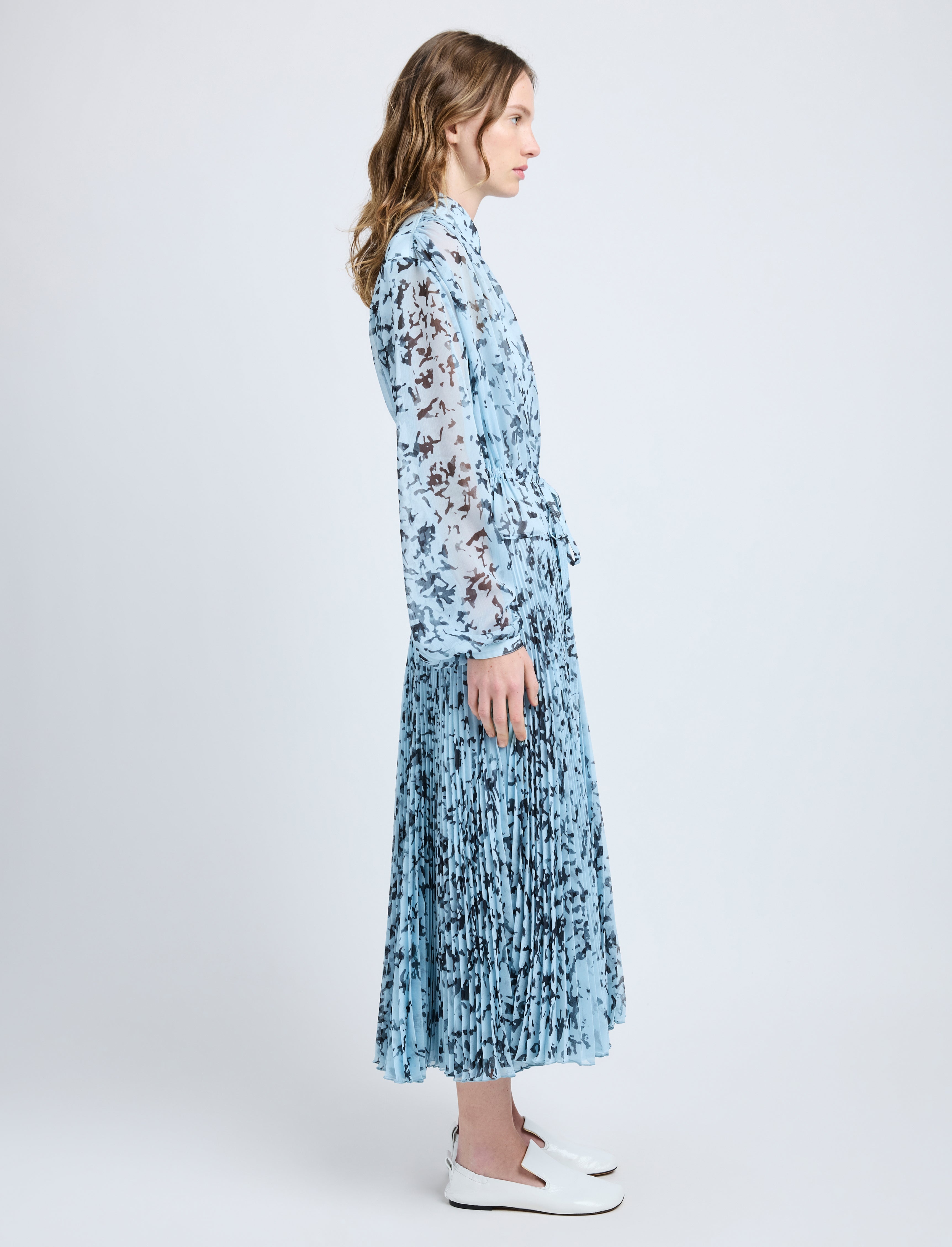 Jones Dress in Printed Crinkle Chiffon - 3