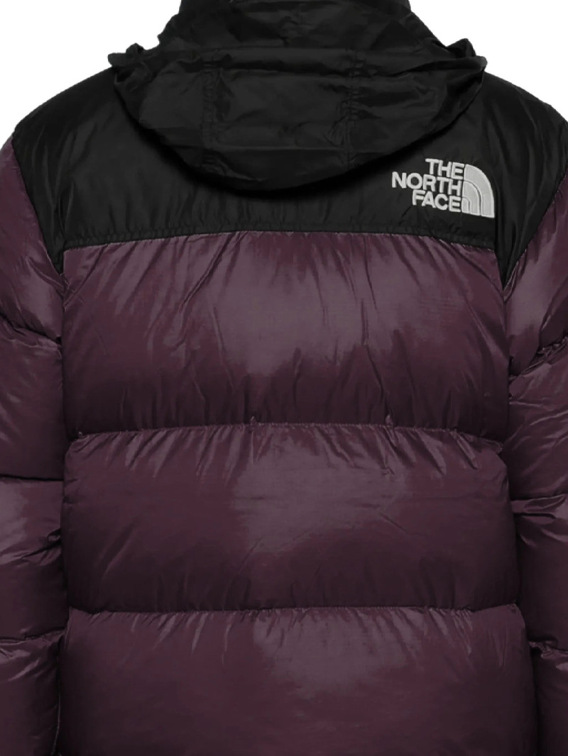 The North Face The North Face Hooded Puffer Jacket outlook