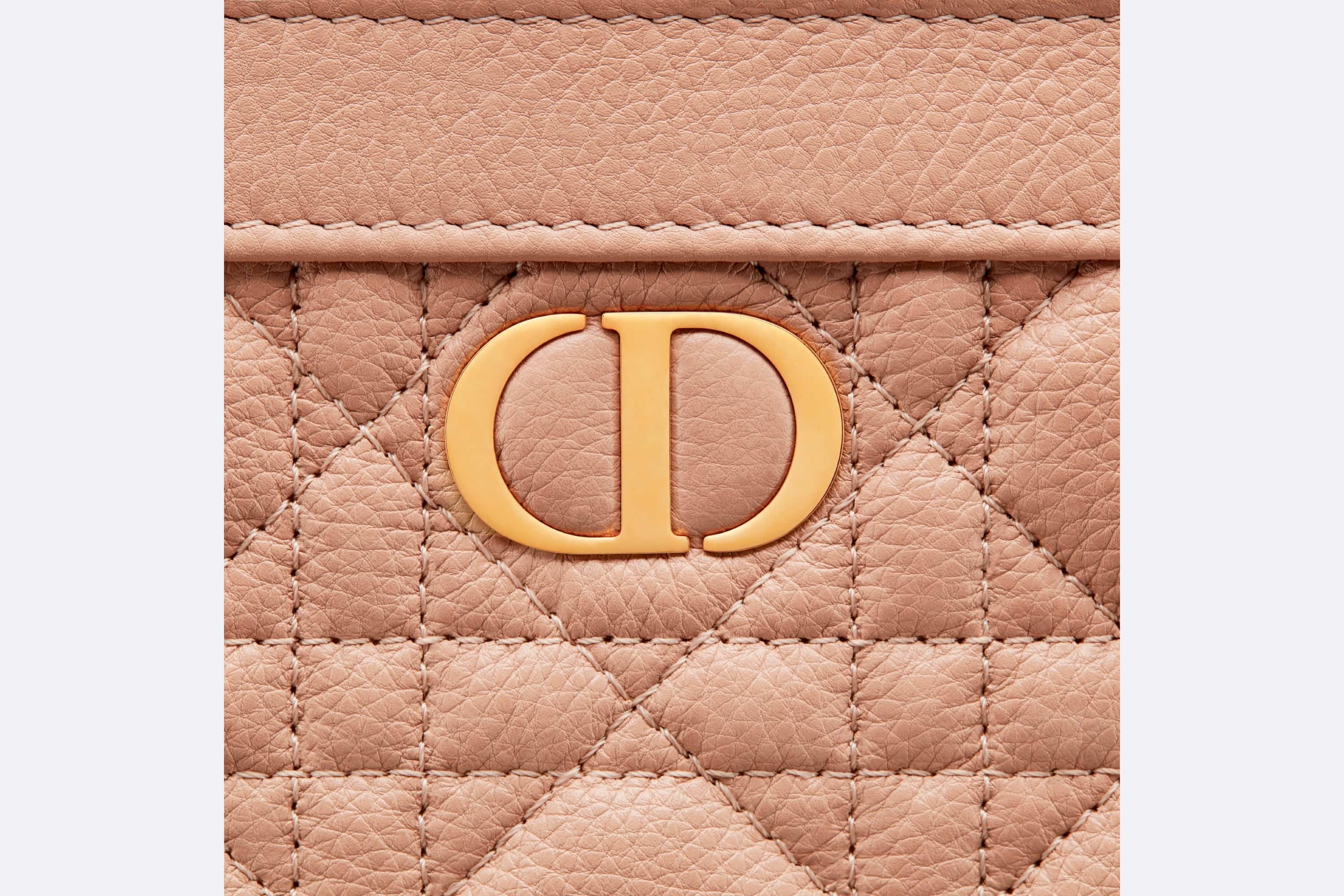 Dior Caro Zipped Pouch with Chain - 6