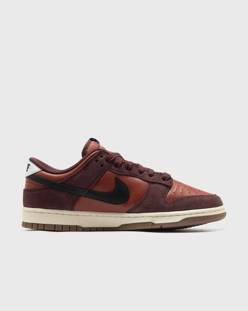 Nike Dunk Low Retro SE outlook
