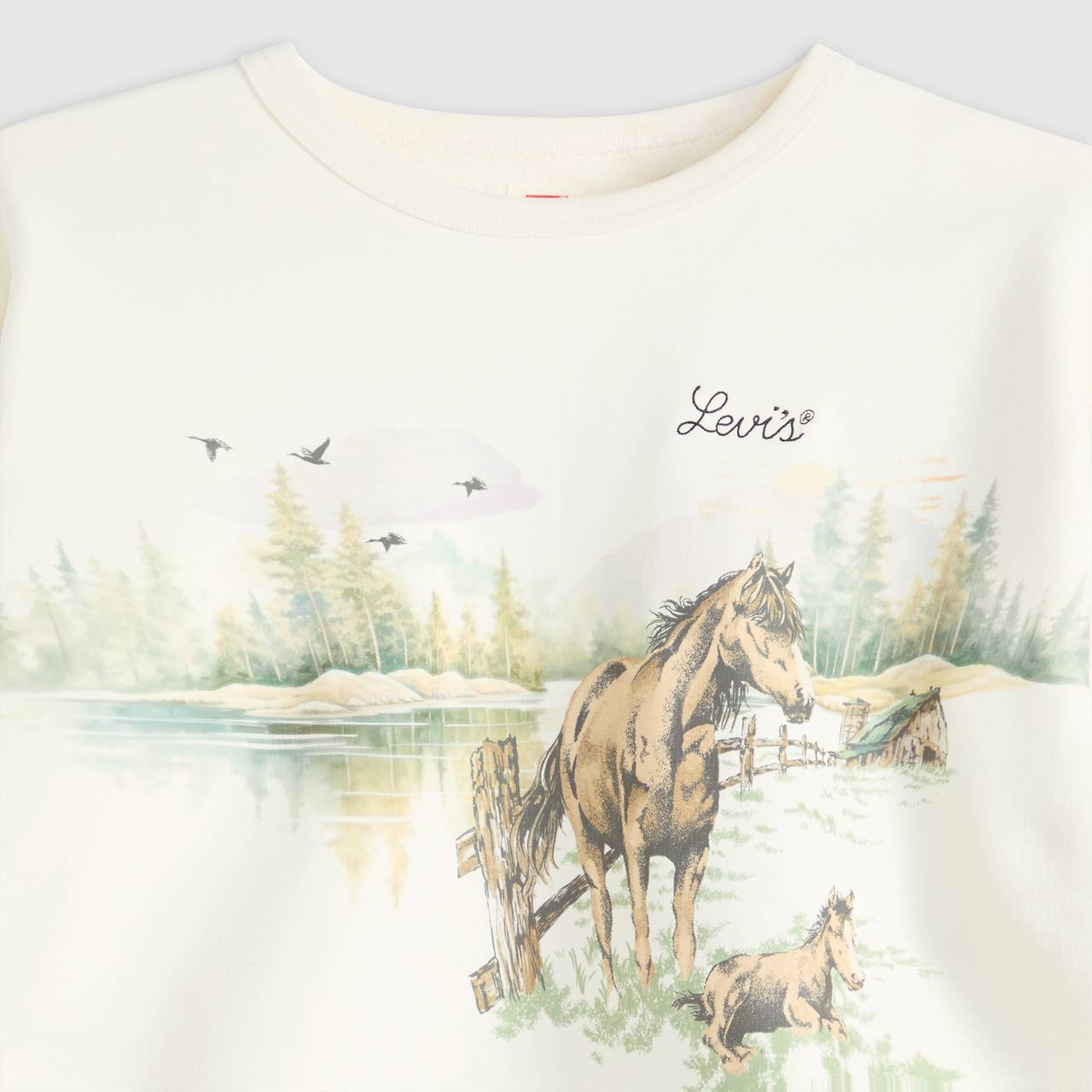 GRAPHIC HERITAGE CREW SWEATSHIRT - 6