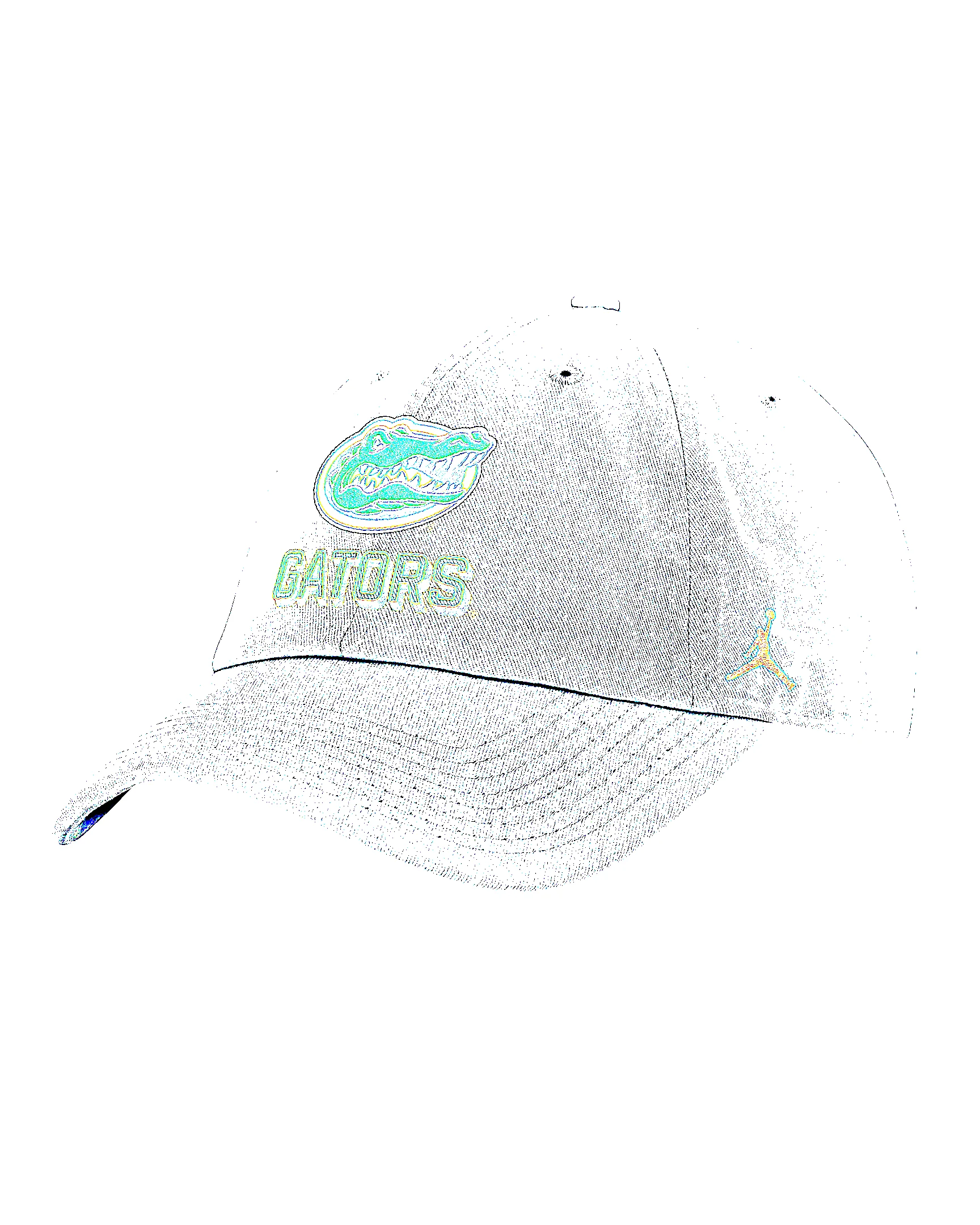 Florida On-Field Club Gameday Men's Jordan Brand College Adjustable Hat - 1