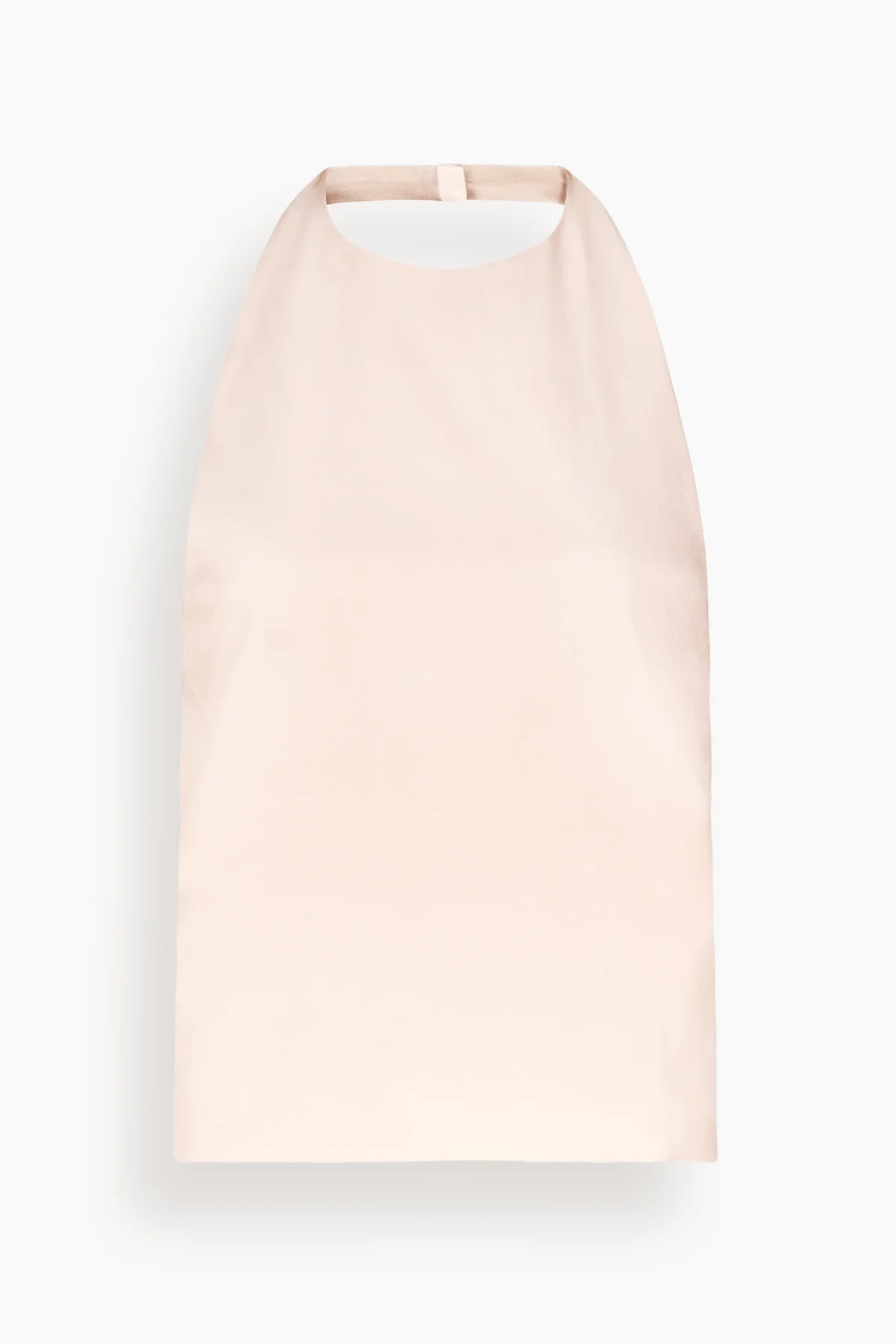Sami Backless Halter Top in Cream Rose - 1