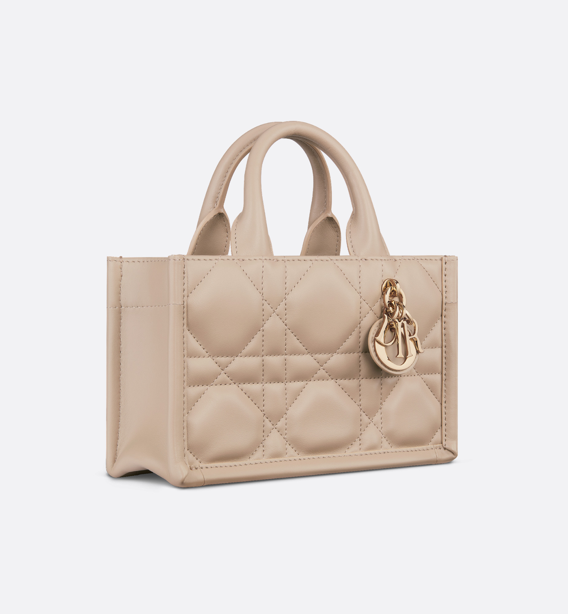 Mini Dior Book Tote - 2