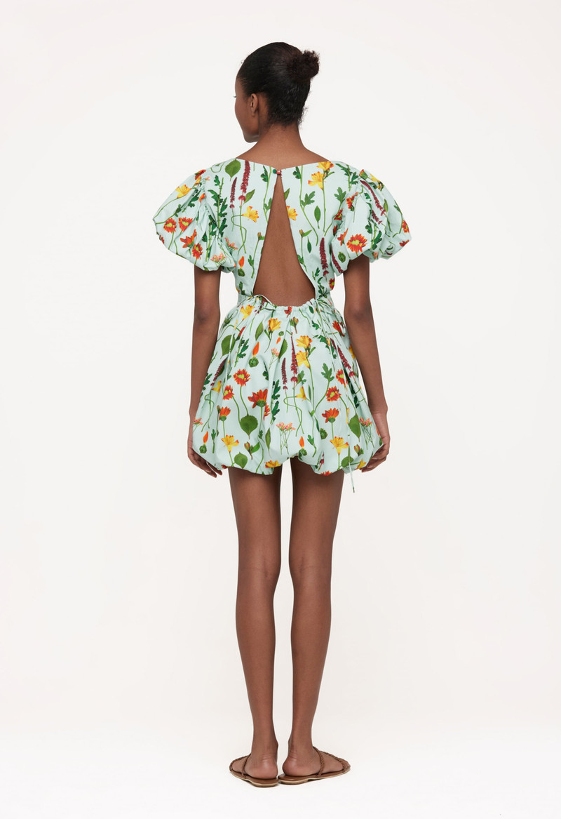 Noni Primavera Mini Dress 4