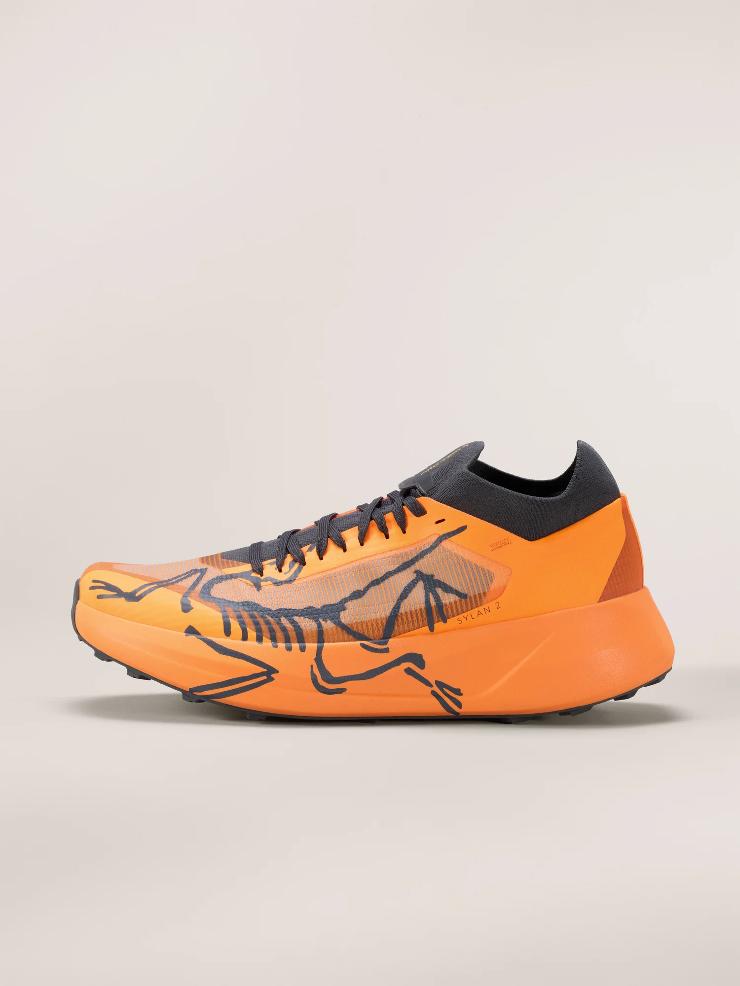 Sylan 2 Shoe - 1