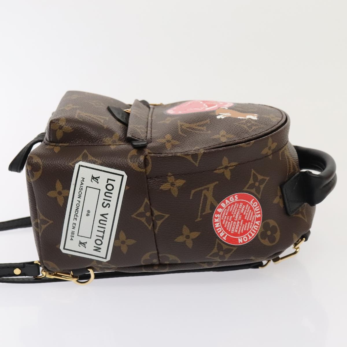 LOUIS VUITTON Monogram Palm Springs Mini Backpack M41562 - 3