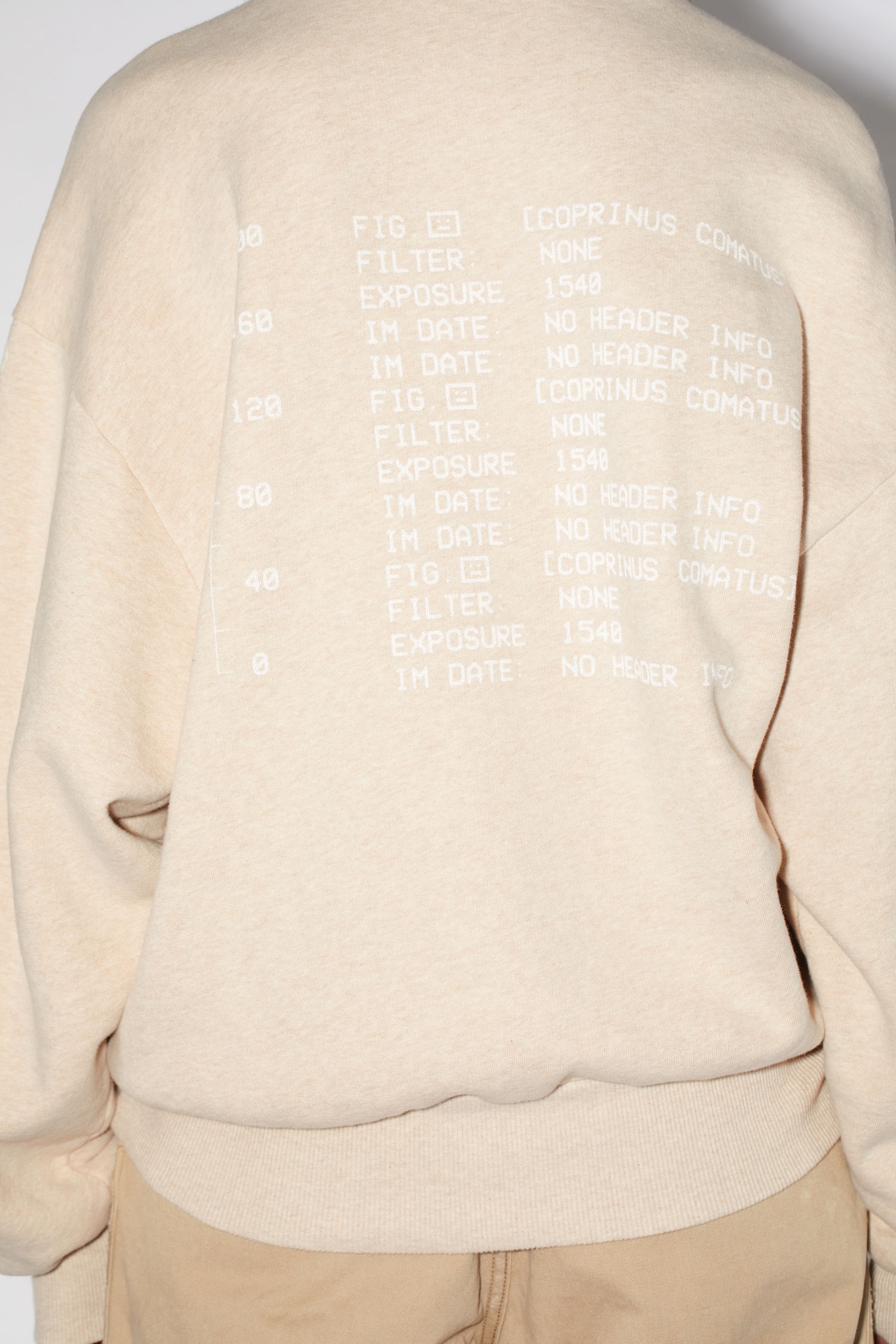 Crew neck sweatshirt - Oatmeal melange - 6