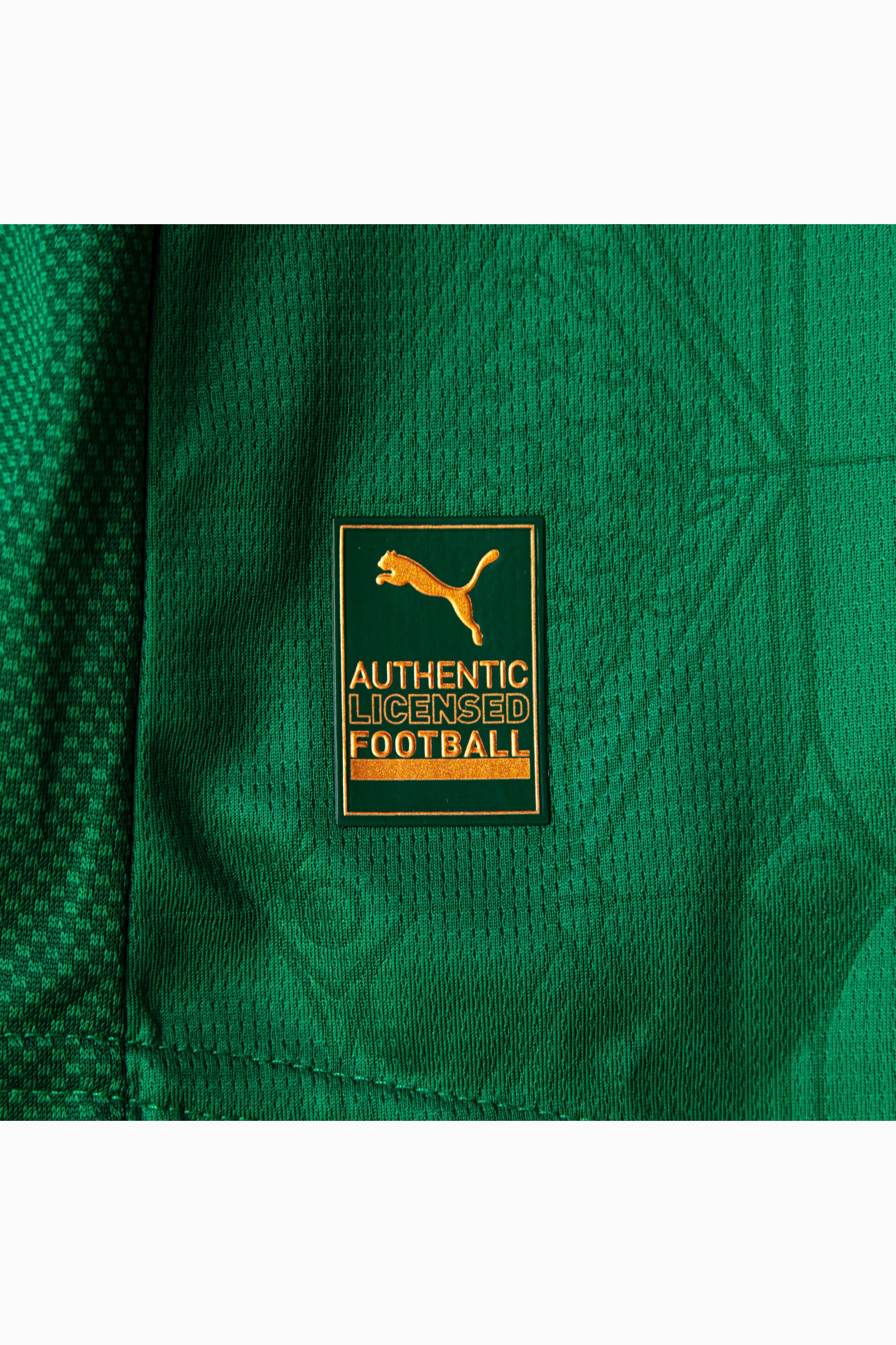 Palmeiras Jogador Home Jsy25 Men - 10