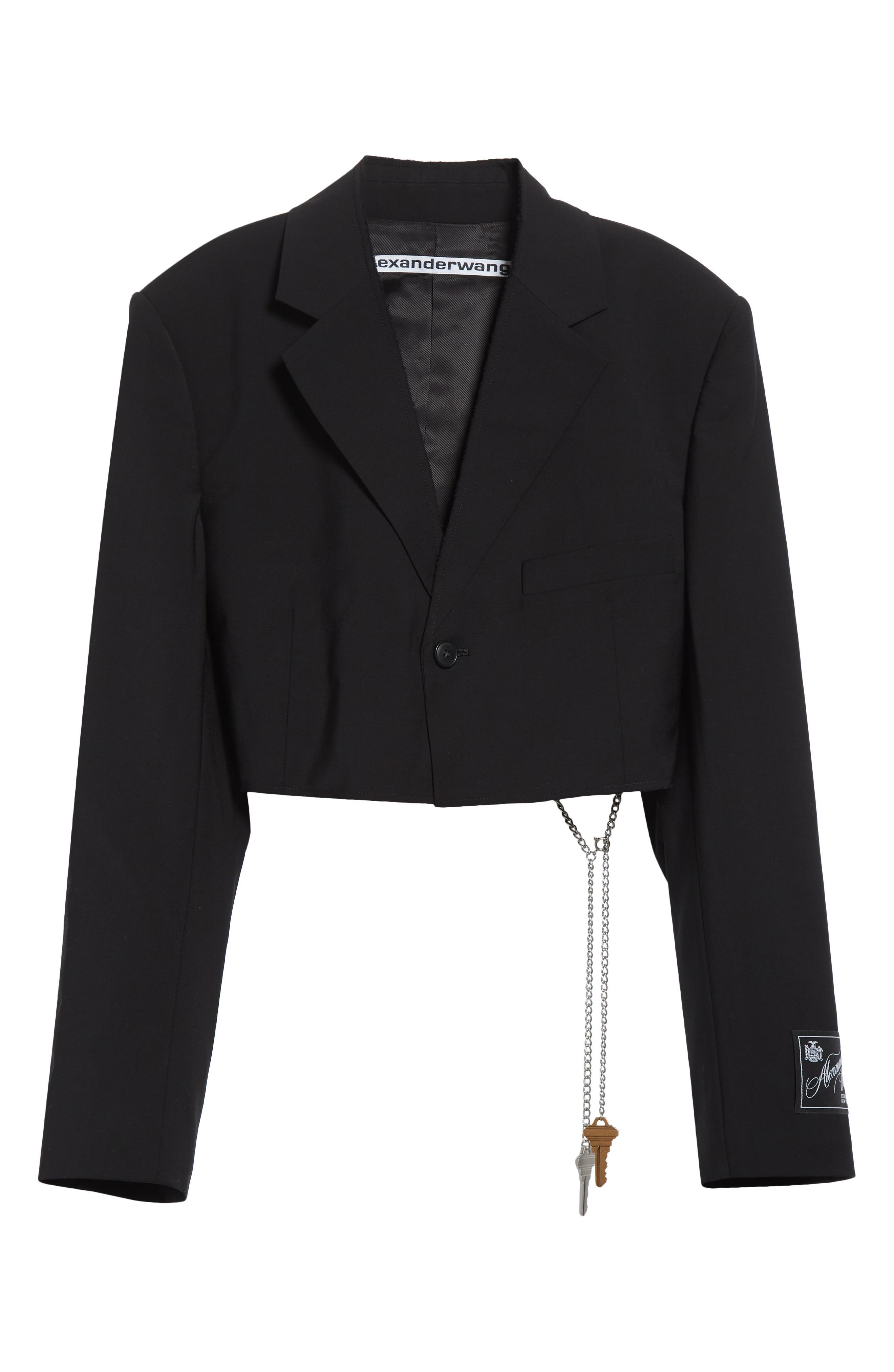 Alexander Wang Chain Embellished Crop Blazer in Black at Nordstrom - 7