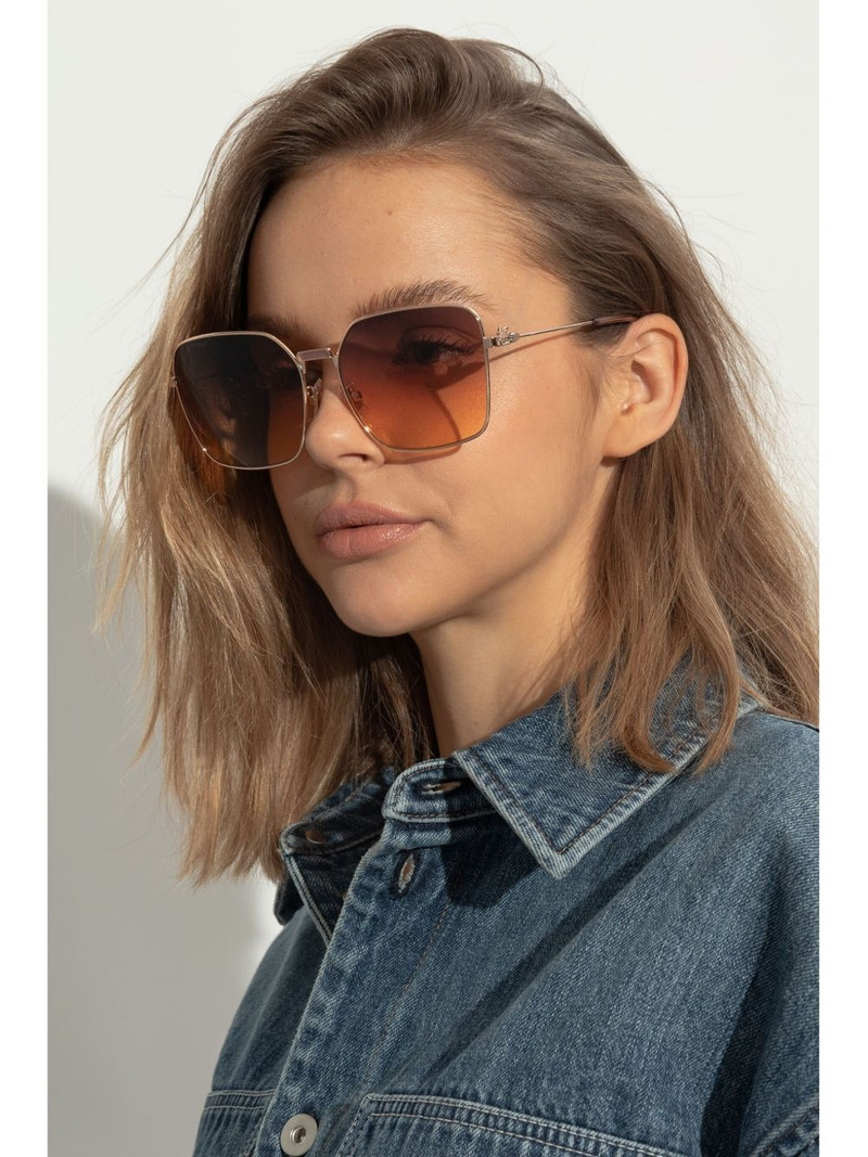 Etro Pegaso-plaque sunglasses outlook