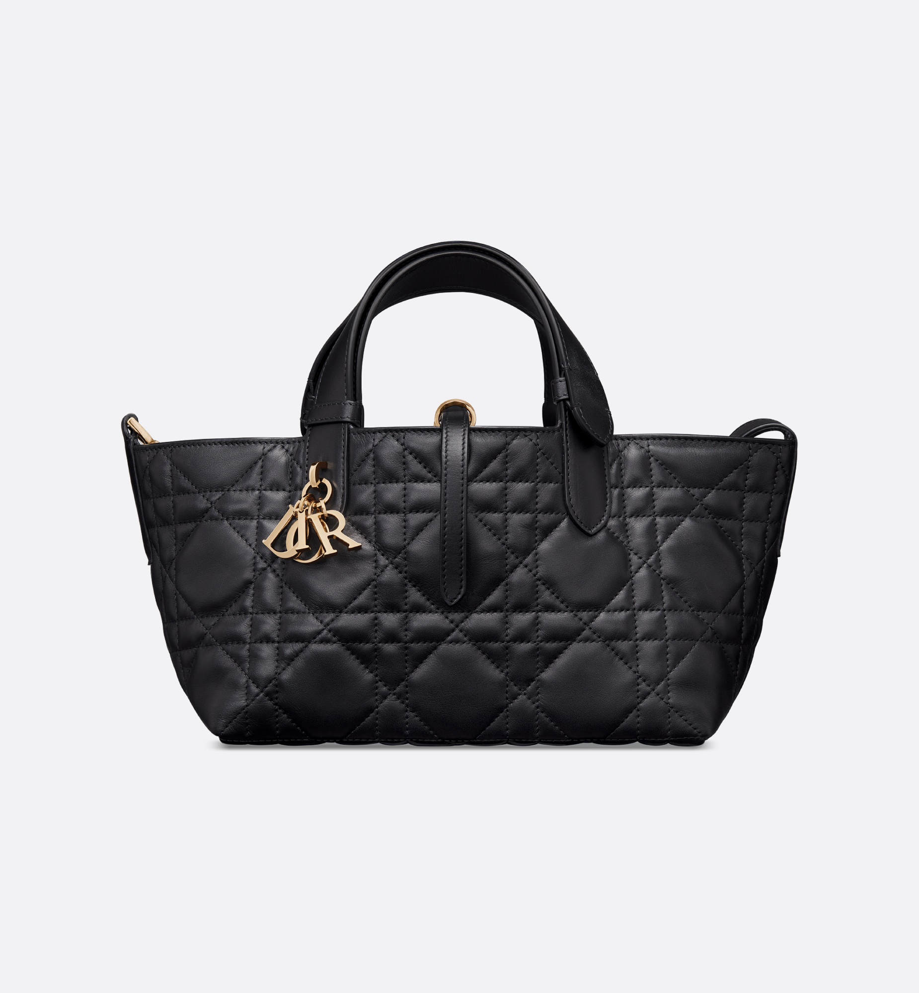 Small Dior Toujours Bag - 5