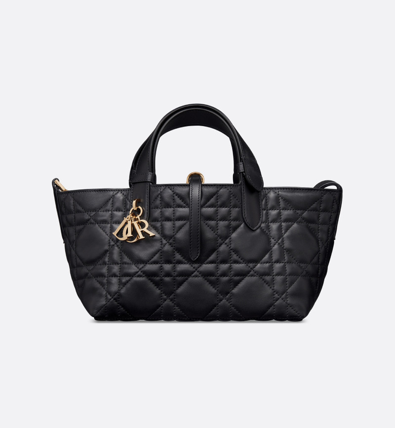 Small Dior Toujours Bag 5