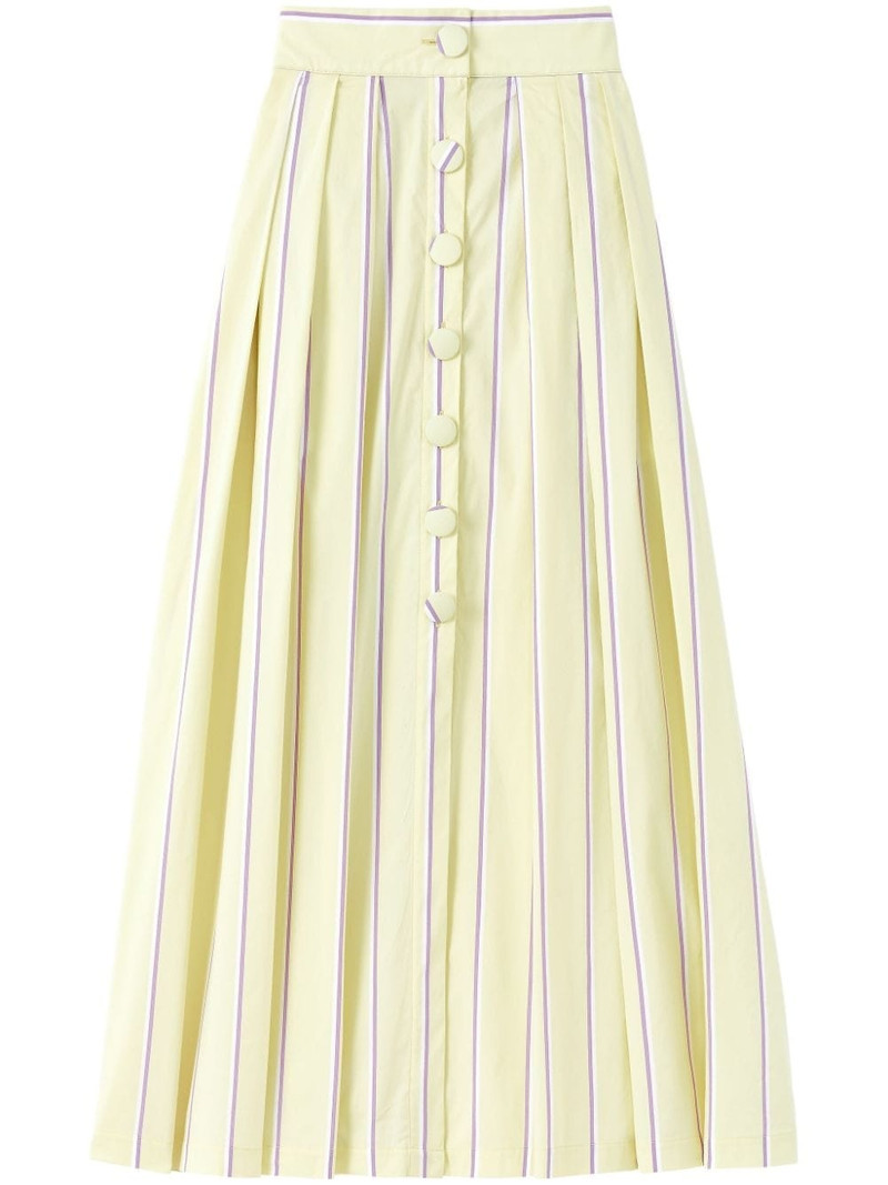 Irving striped maxi skirt 1
