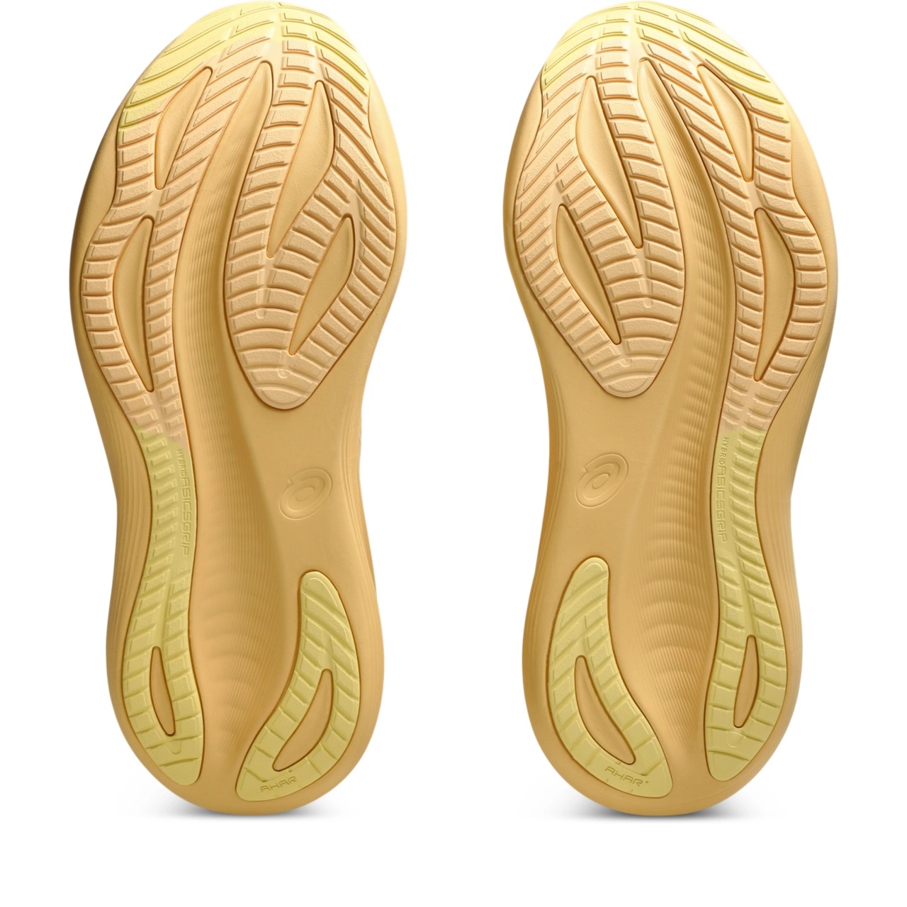 GEL-NIMBUS 27 LITE-SHOW - 7