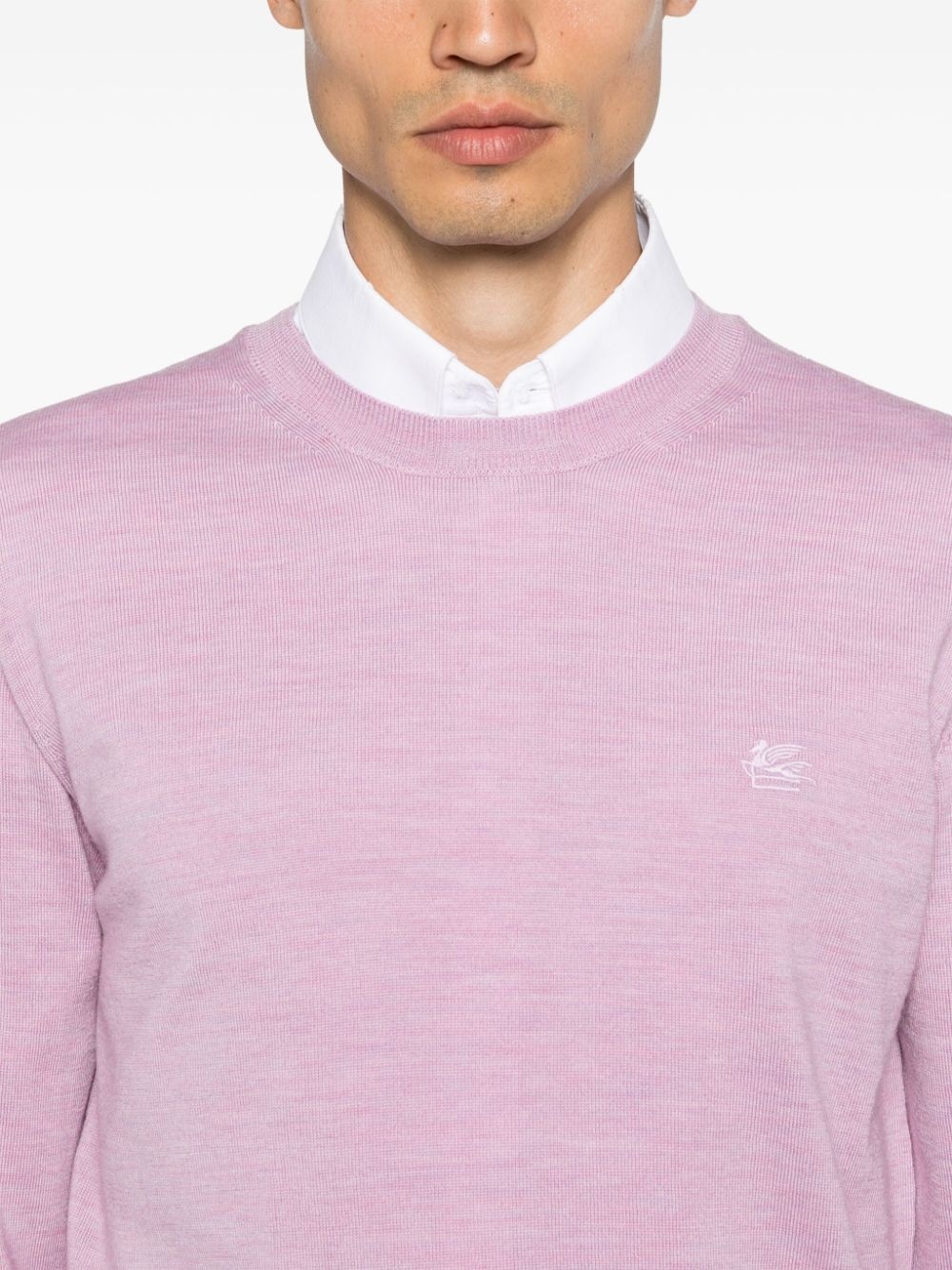 Pegaso-motif sweater - 5