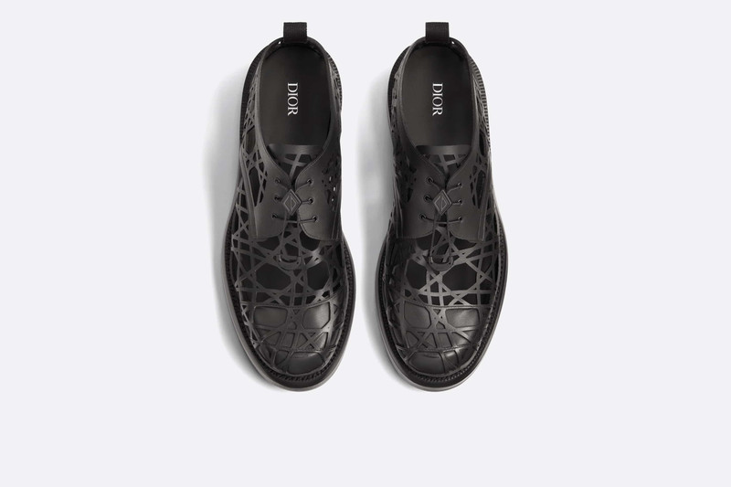 Dior Carlo Derby Shoe with Protective Cover 4
