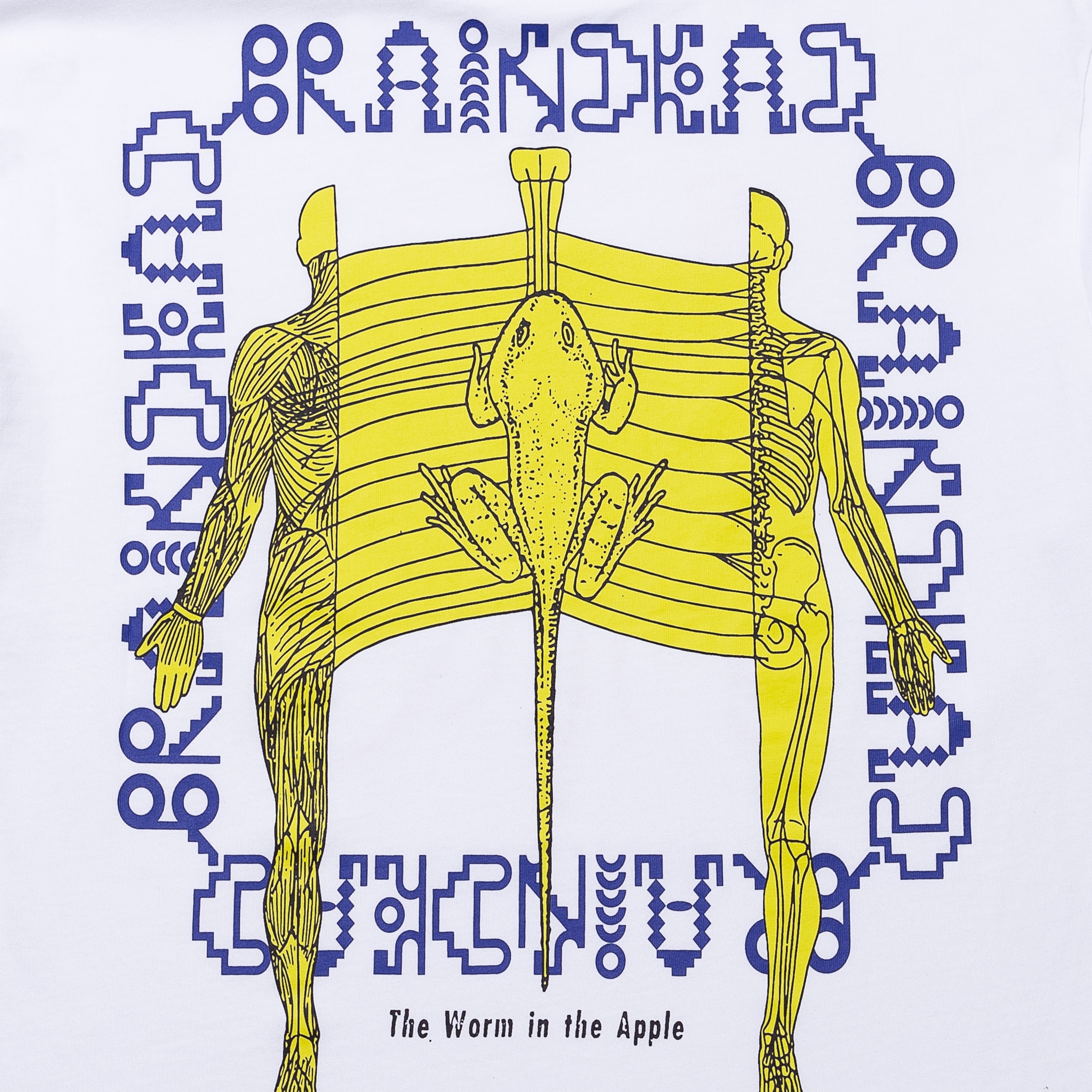 WORM IN THE APPLE LONG SLEEVE - 4