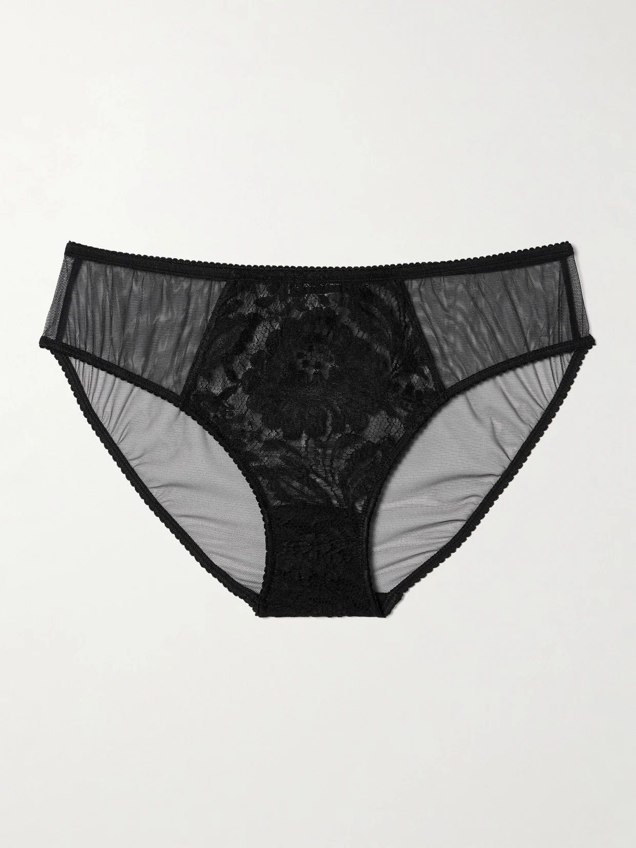 Tulle And Lace Briefs - 1