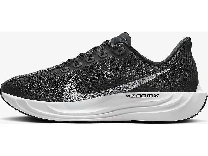 Nike Pegasus Plus - 2