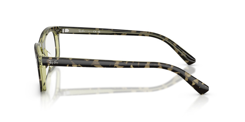 RB5450 OPTICS 5