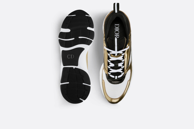Dior B22 Sneaker outlook