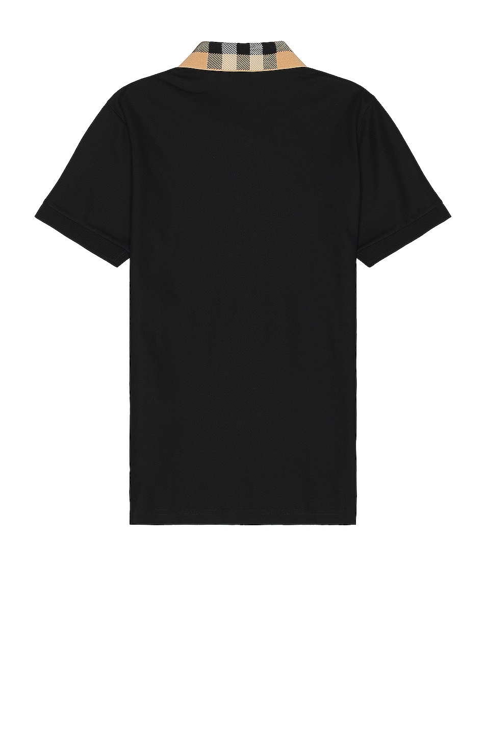 Cody Polo - 2