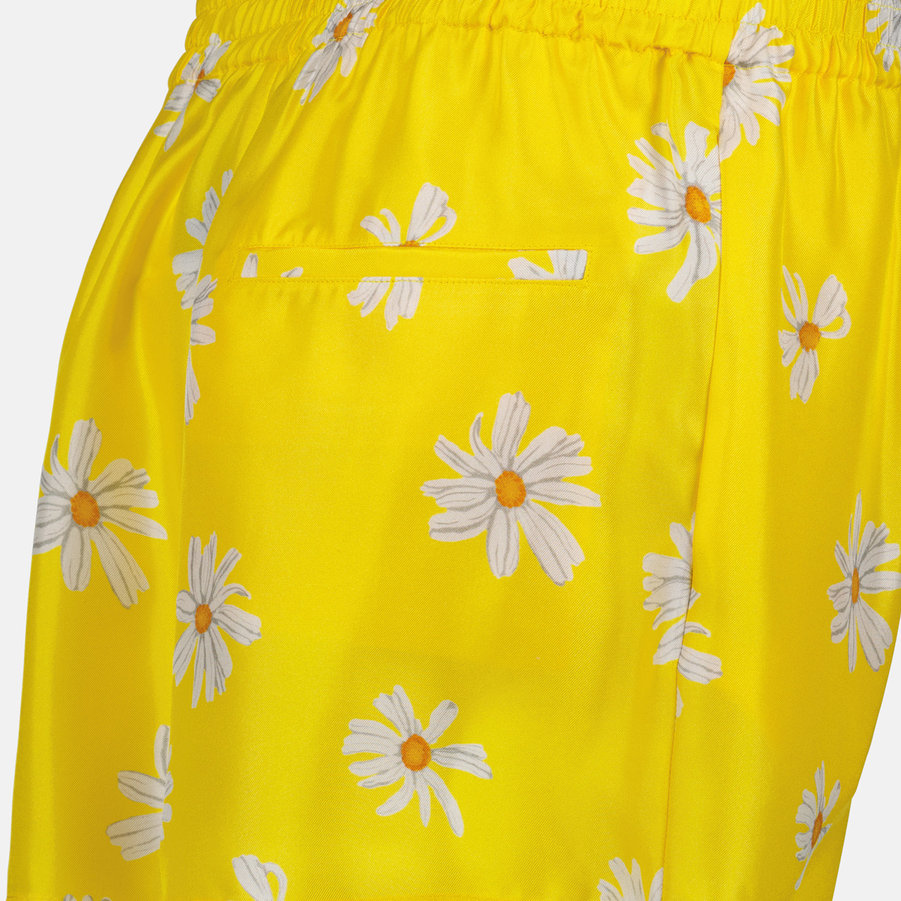 Short marguerites - 3