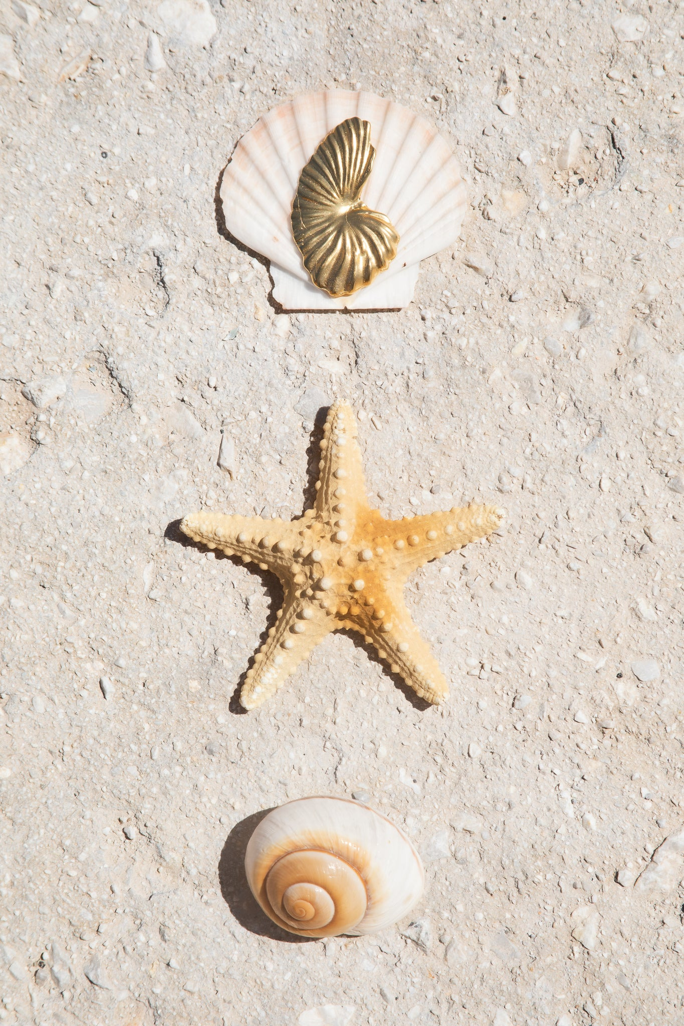 Birth Of Venus Brooch - 5
