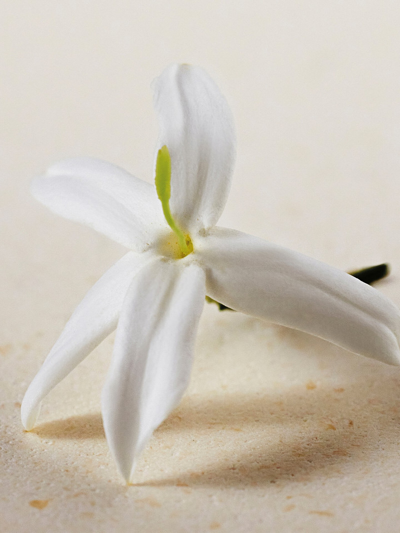 Chloé ATELIER DES FLEURS – DISCOVERY GIFT SET 3 FRAGRANCES outlook