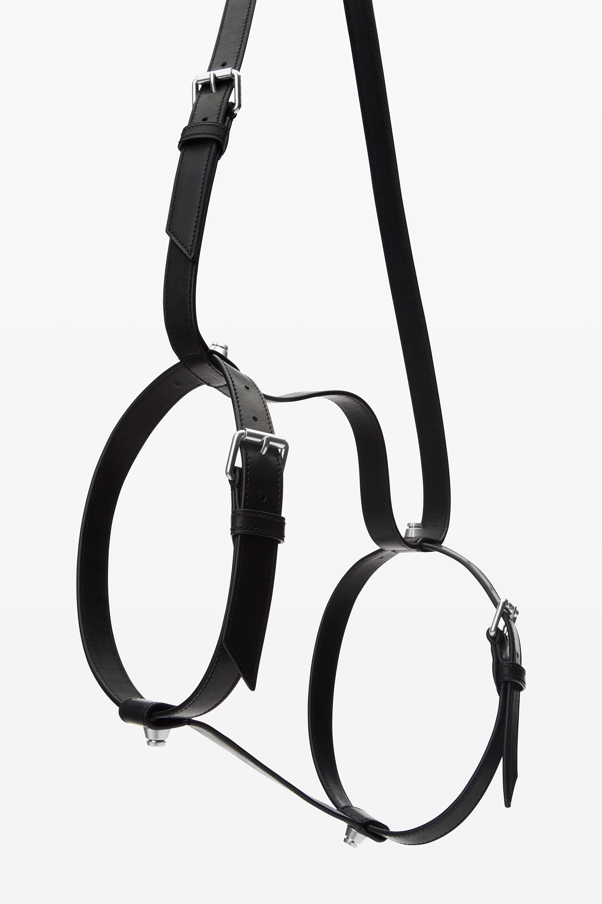 The Trap Stud Blanket Harness - 4
