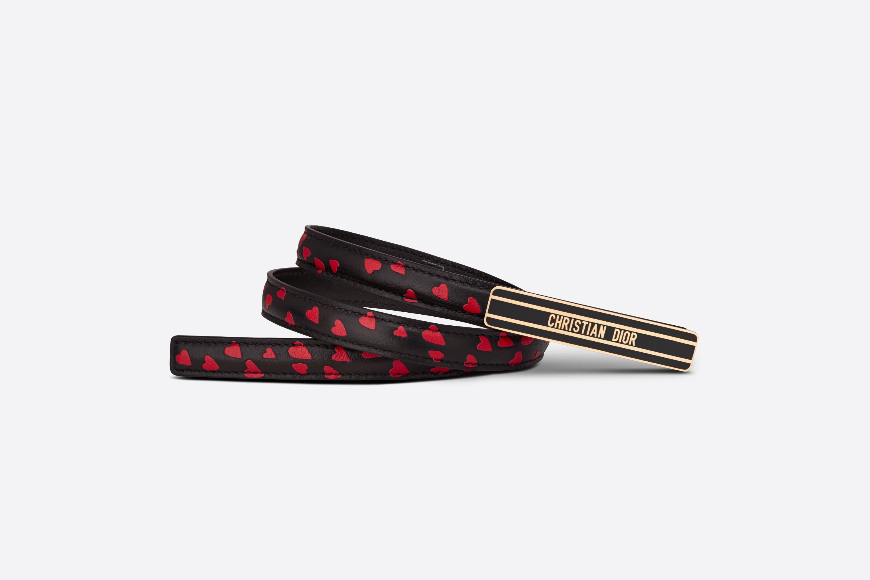 Dior-ID Belt - 3