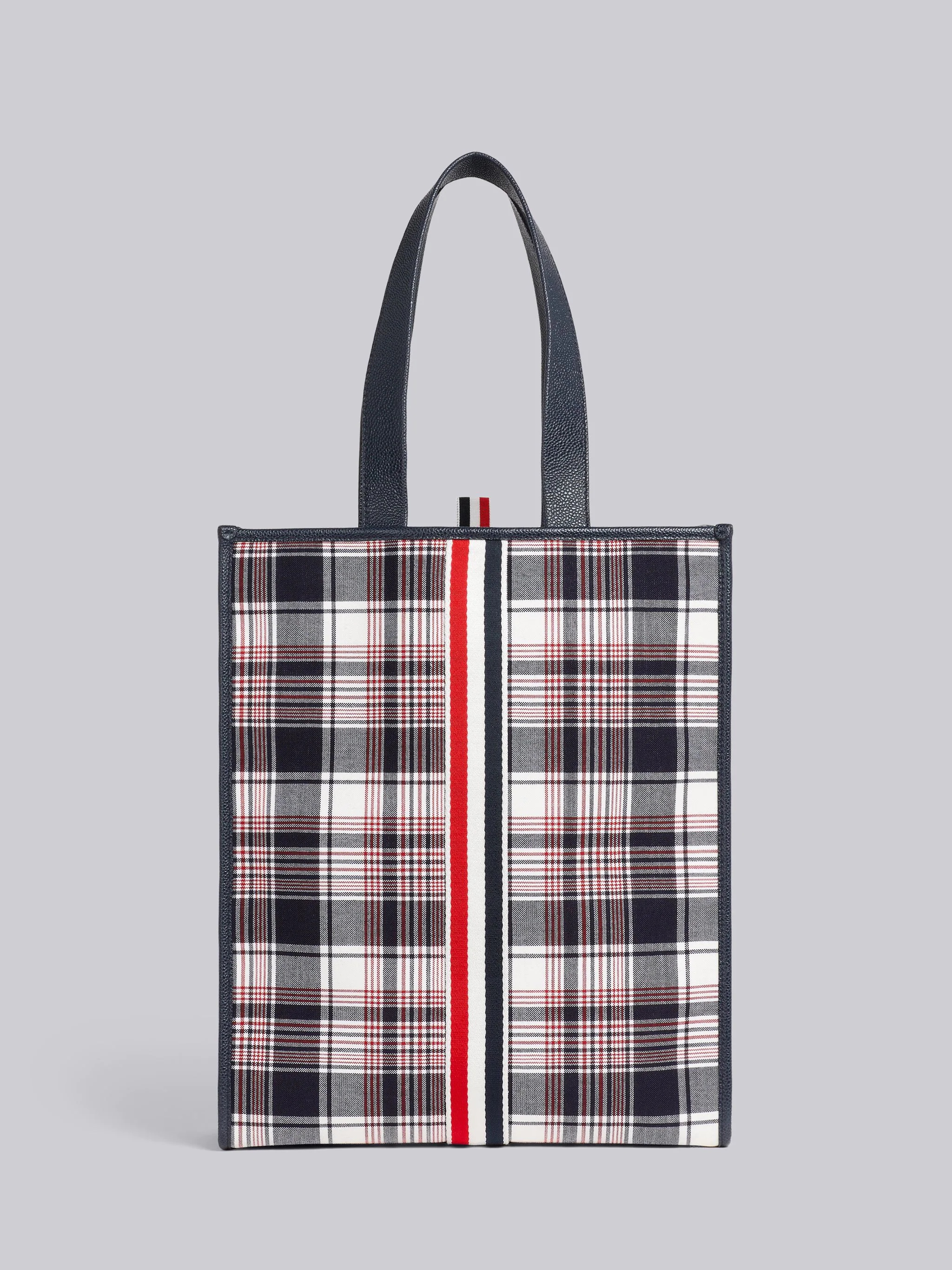 Multicolor Hairline Madras Check Suiting Webbing Stripe Vertical Tote - 1