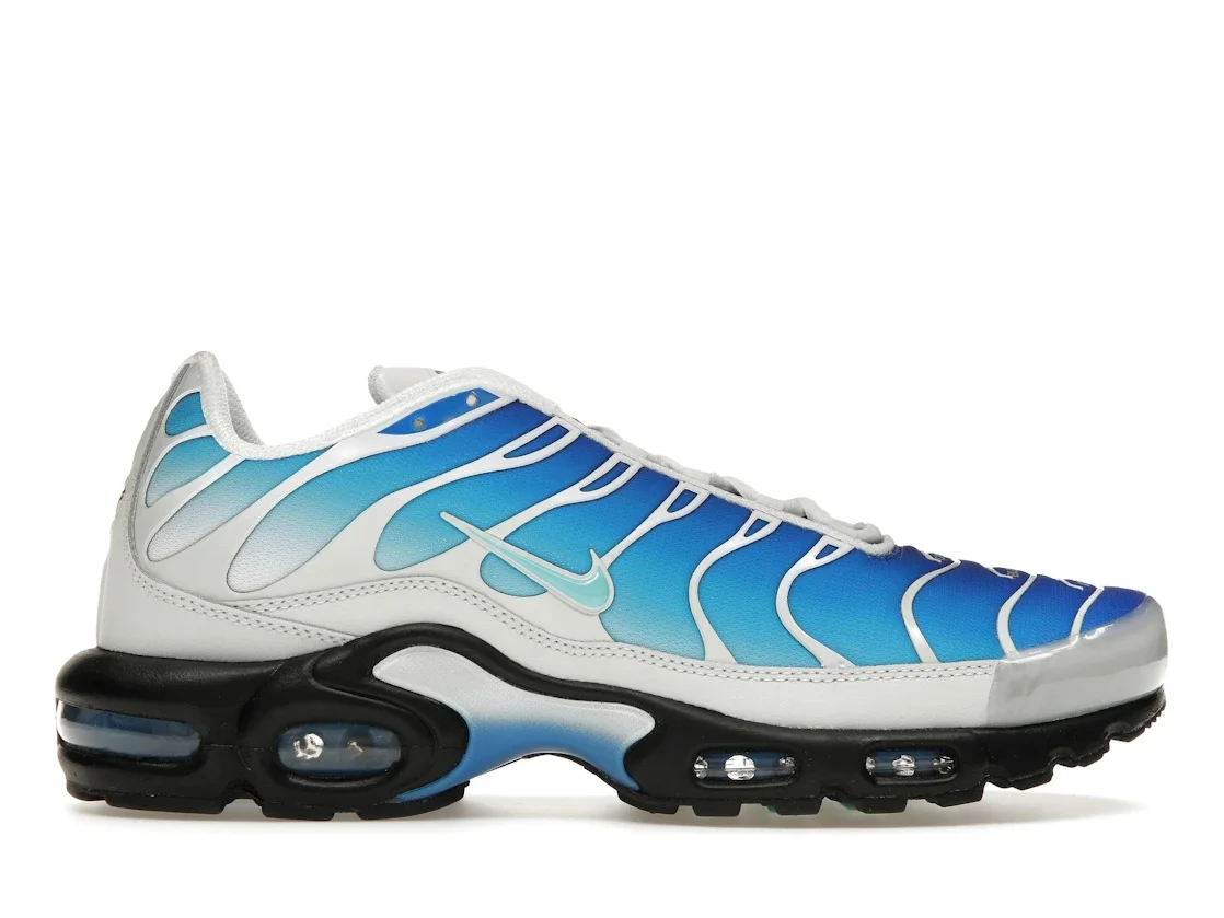 Nike Air Max Plus One Block Down Light Photo Blue - 1