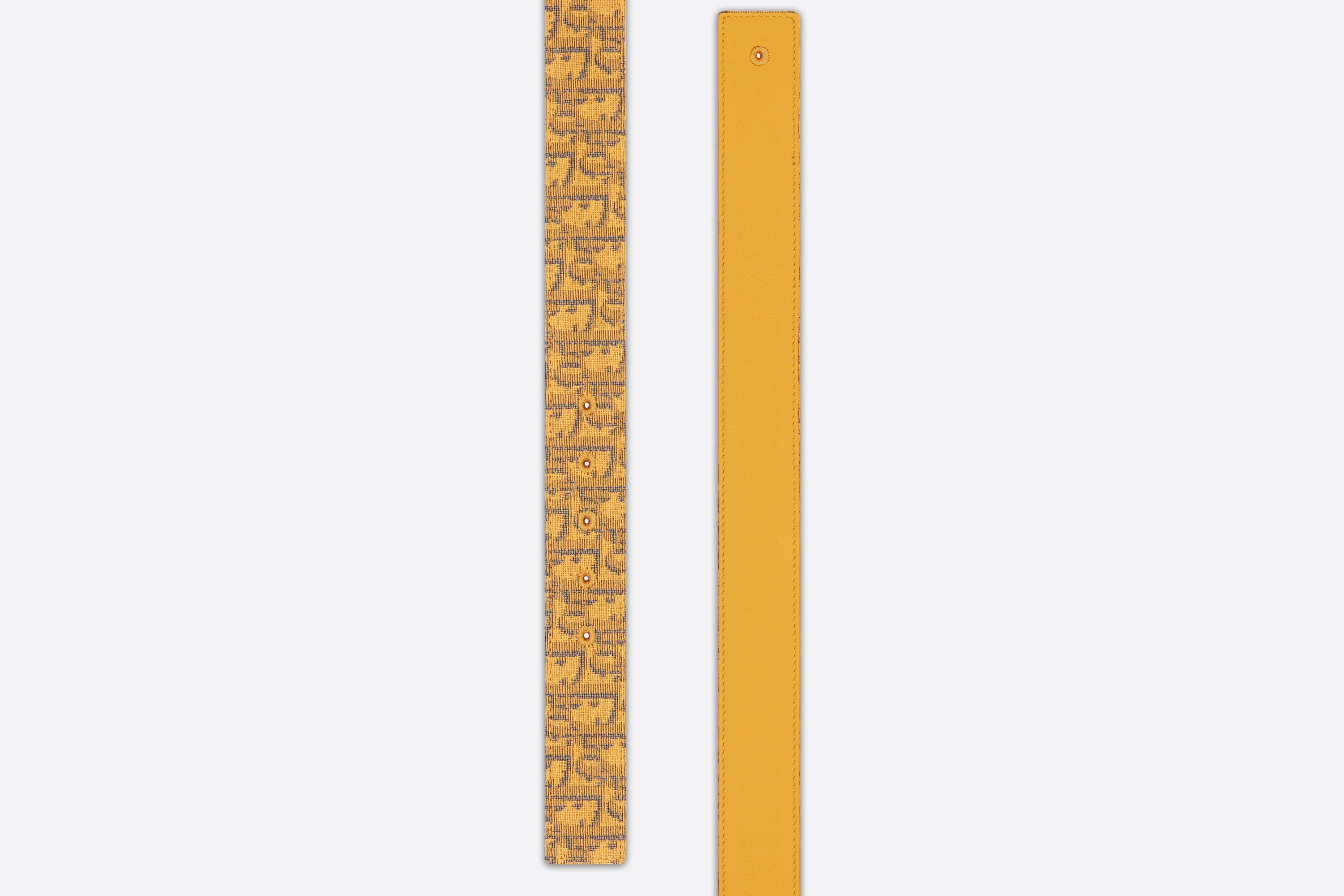 Reversible Belt Strap - 2