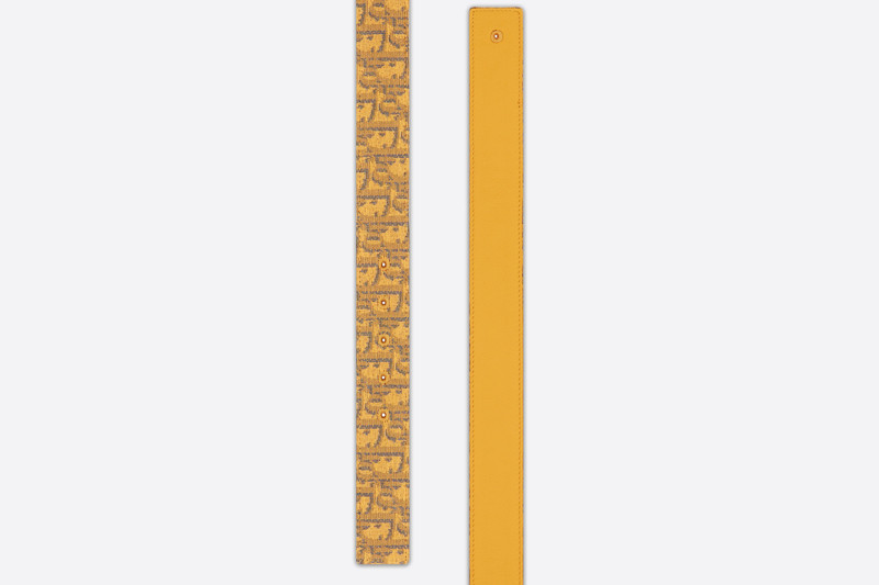 Dior Reversible Belt Strap outlook
