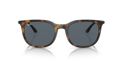 Ray-Ban RB4386 outlook