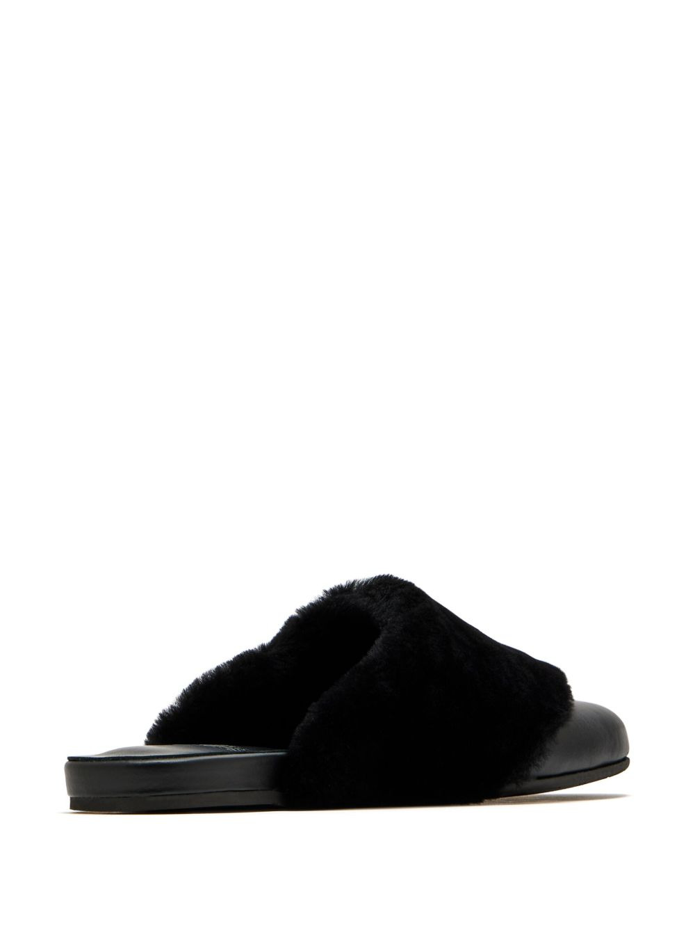 Thyone mules - 2