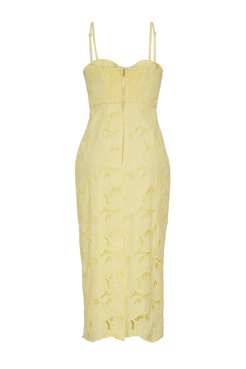 Camille Dress Flirtatious Flare and Scalloped Lace Romance 3