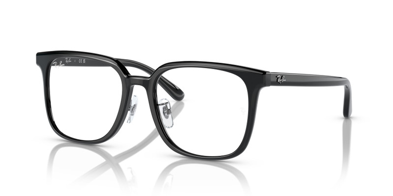 RB5419 OPTICS 1