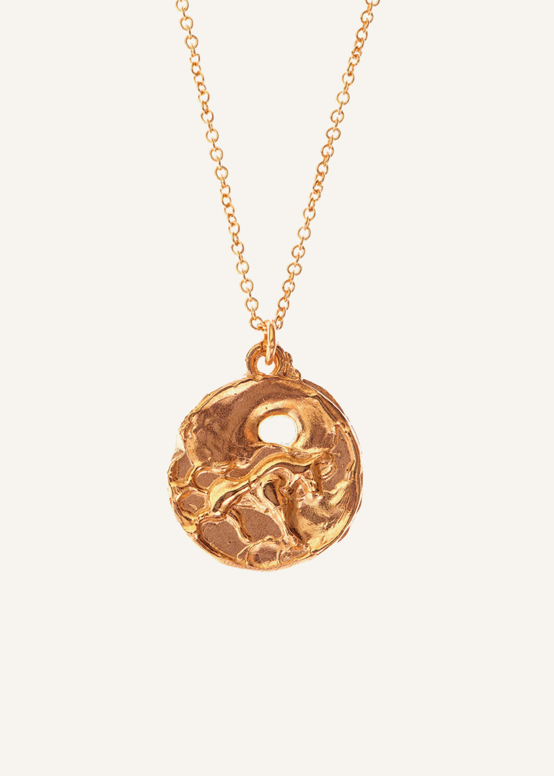 Taurus Necklace 1