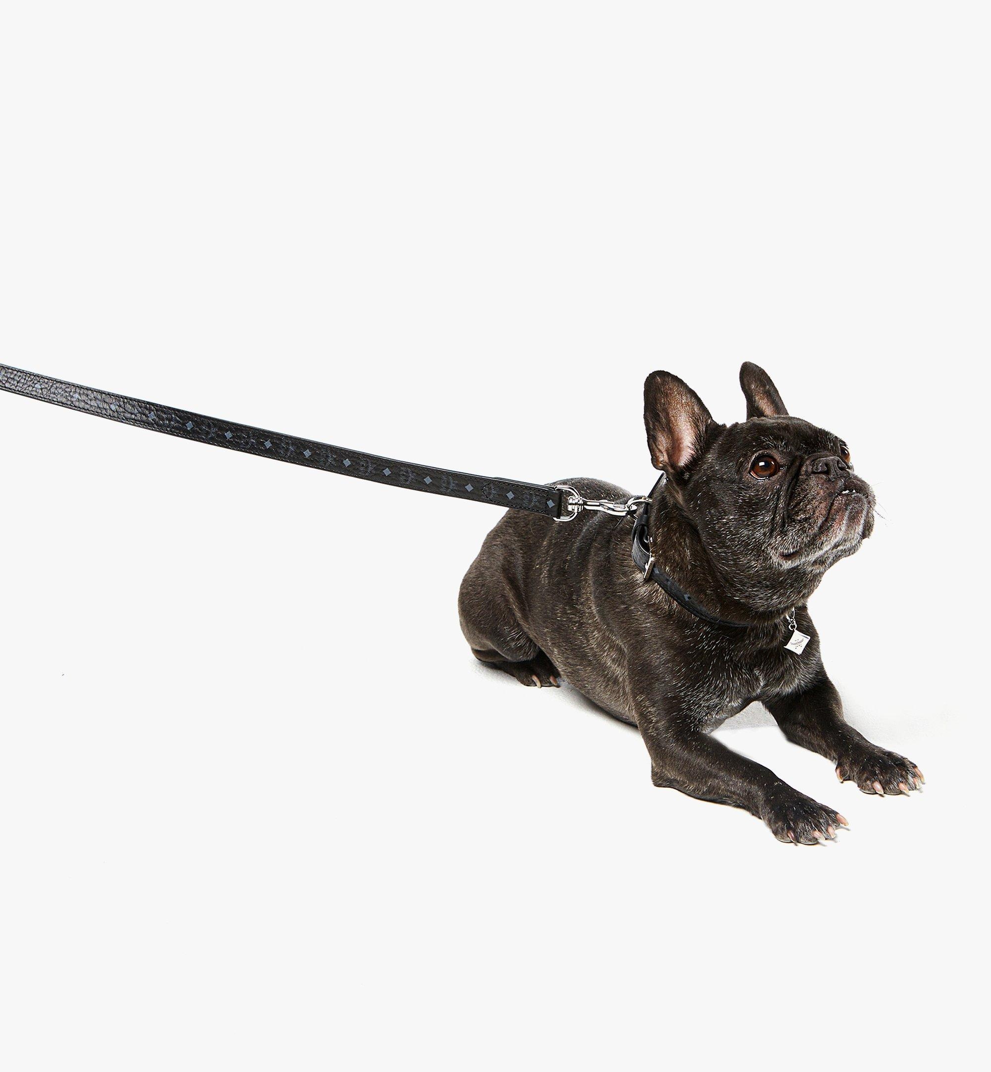 Pet Leash in Monogram Print Leather - 6