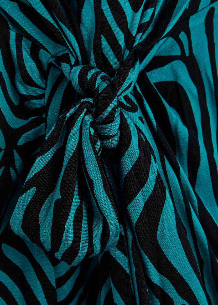 Diane Von Furstenberg Geri Zebra-print Jersey Maxi Dress - 5