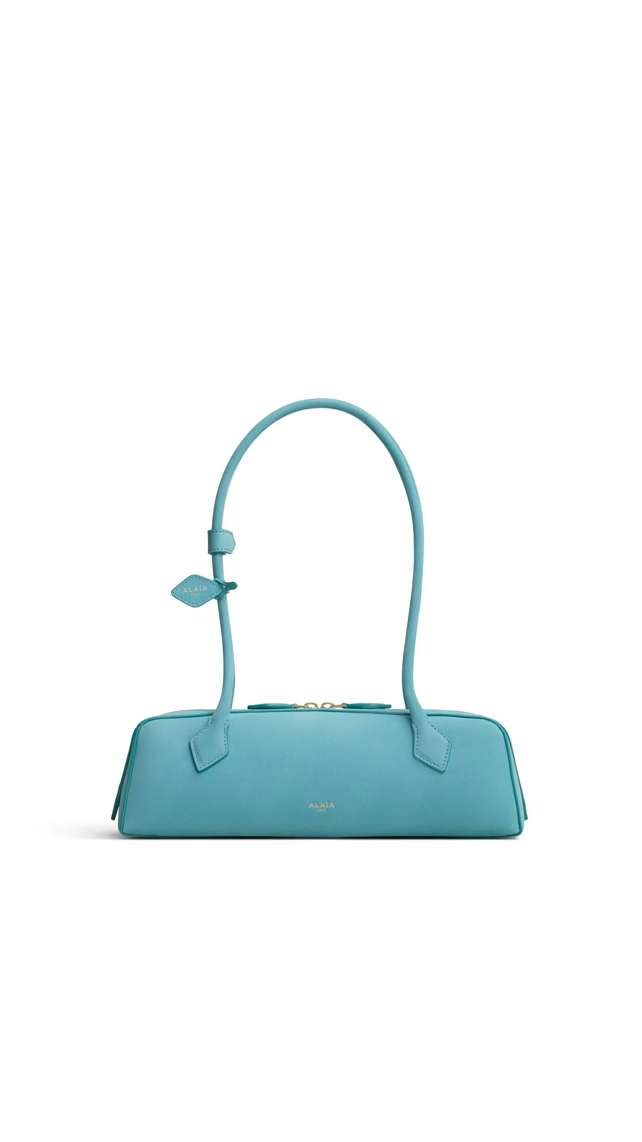 LE TECKEL MEDIUM BAG IN NUBUCK - 1