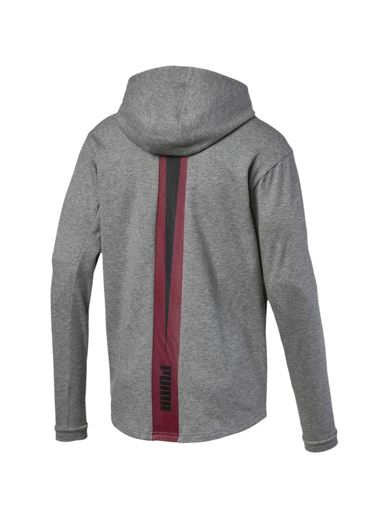 PUMA FtblNXT Casuals hoodie outlook