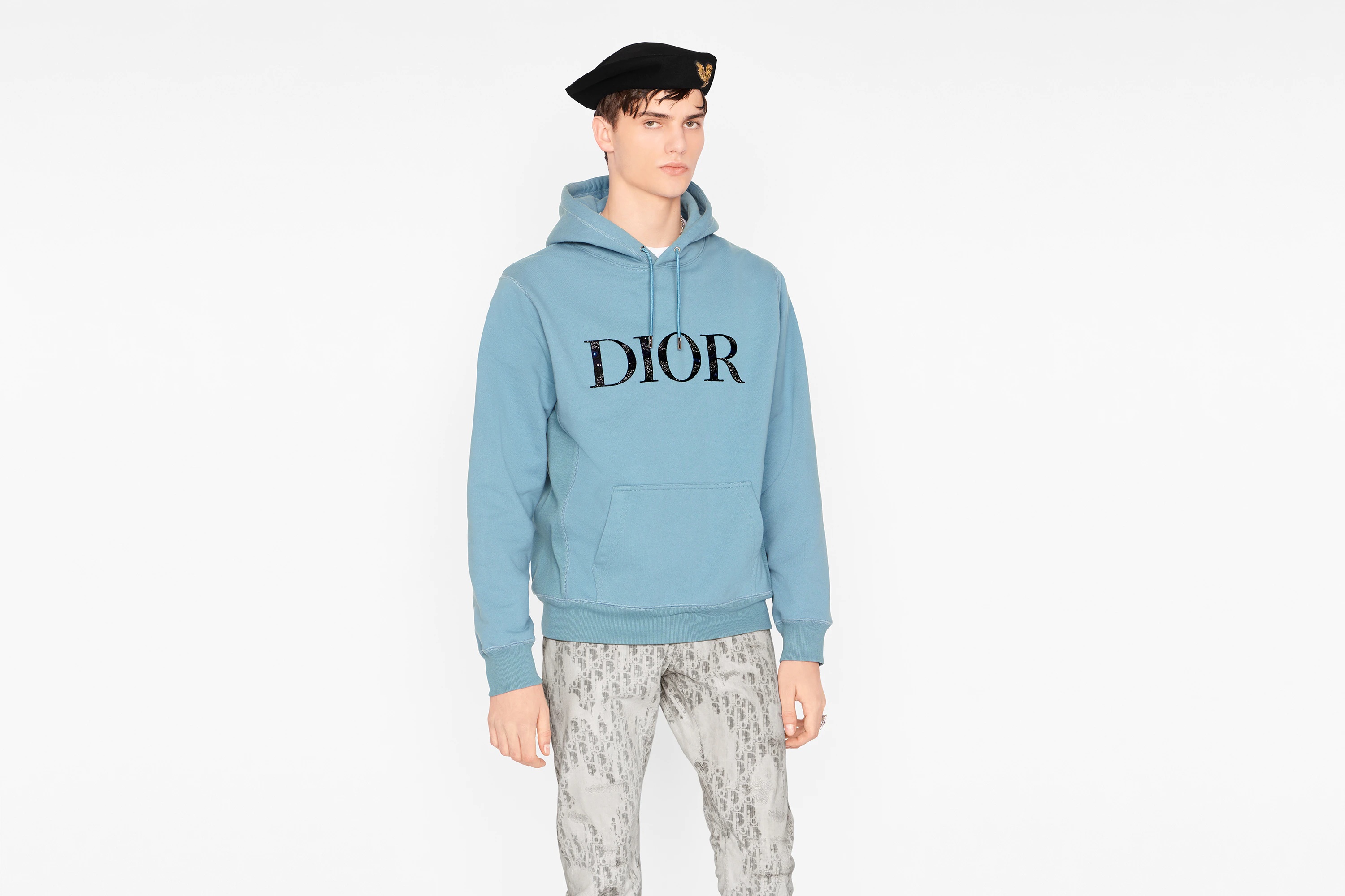 Oversized DIOR AND PETER DOIG Hooded Sweatshirt - 5